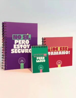 Kit Cuaderno + Libreta mediana + Libreta pequeña